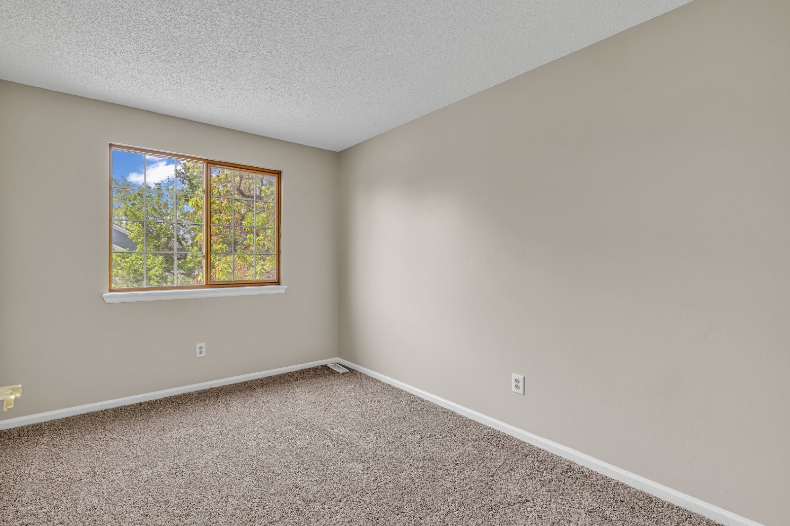 Thornton Home Move-In Ready! property image