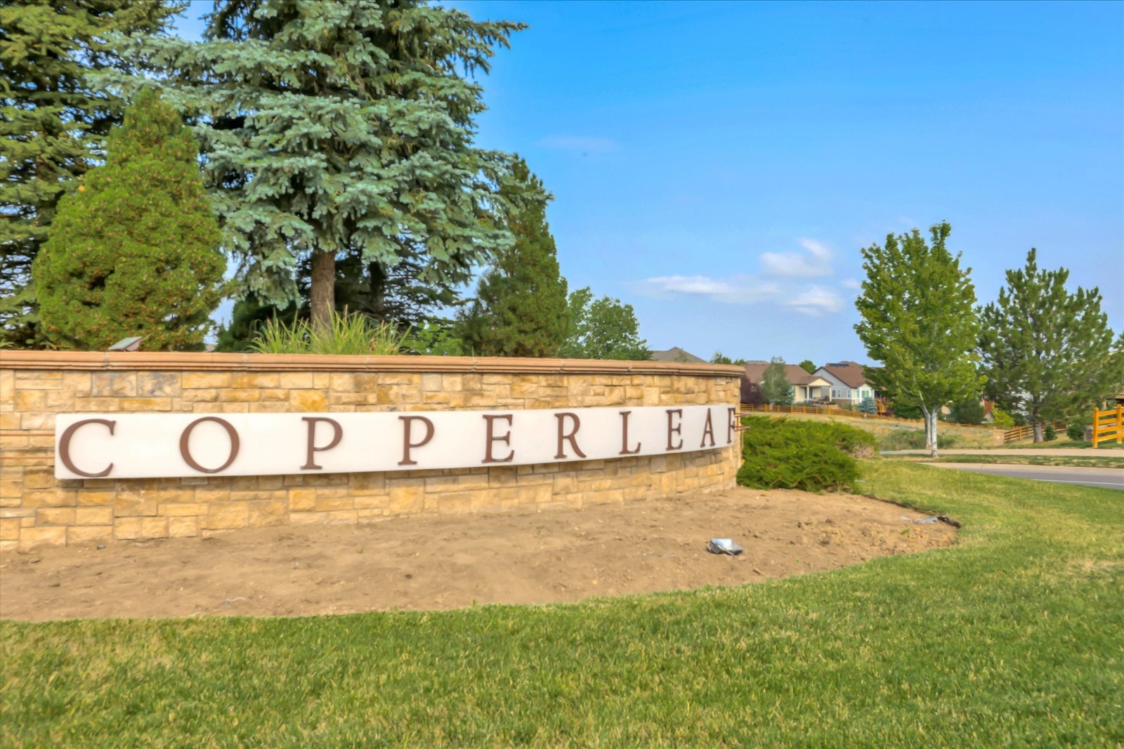 5 Bedroom, 3 Bath Home In Copperleaf! property image